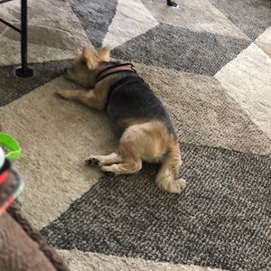 Meet your Posher, Mary jo